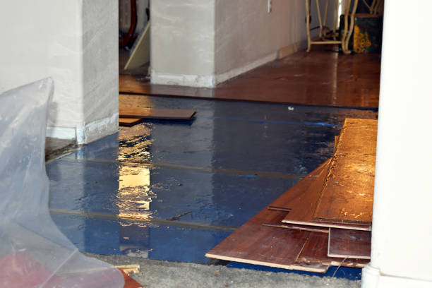 Professional Basement Flood Cleanup technician working in Sharpsburg, NC